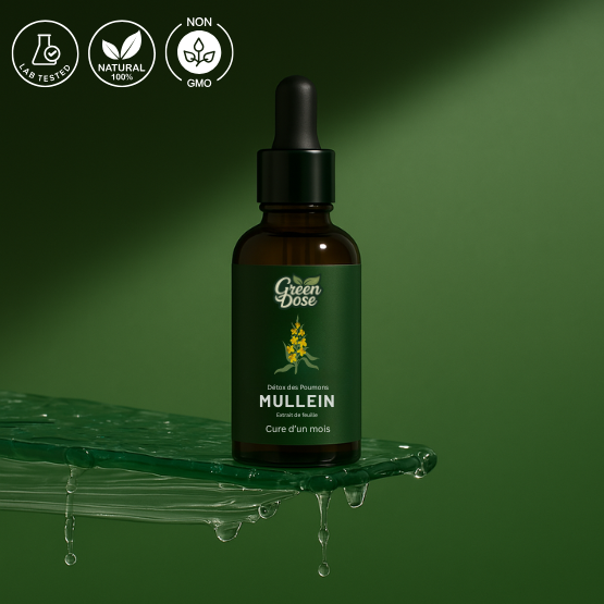 Teinture de Molène pour les Poumons – GreenDose