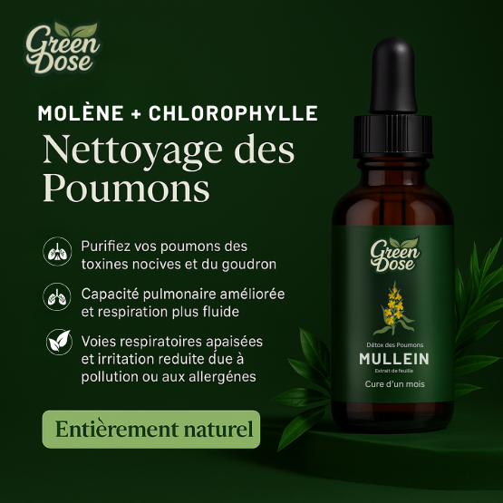 Teinture de Molène pour les Poumons – GreenDose